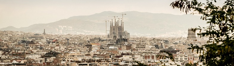 Study for a Degree in Spain